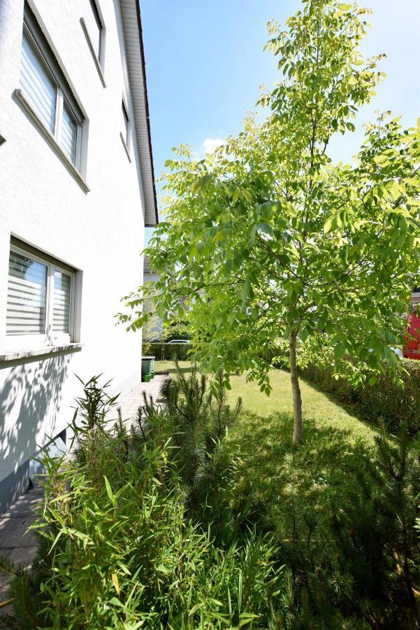 Apartment Rubin Sinsheim